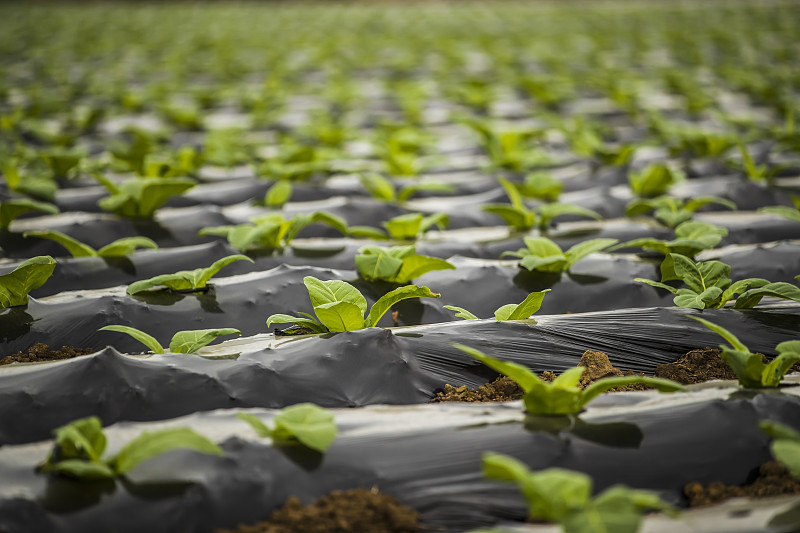 Agricultural Applications